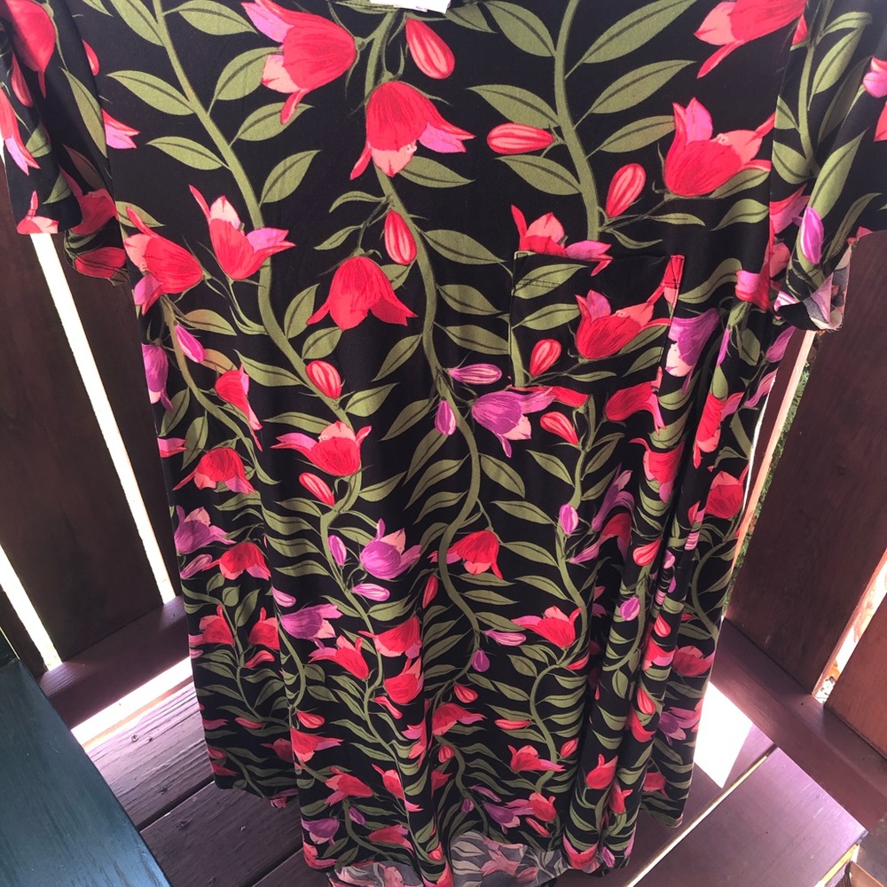 Lularoe Dress Size L